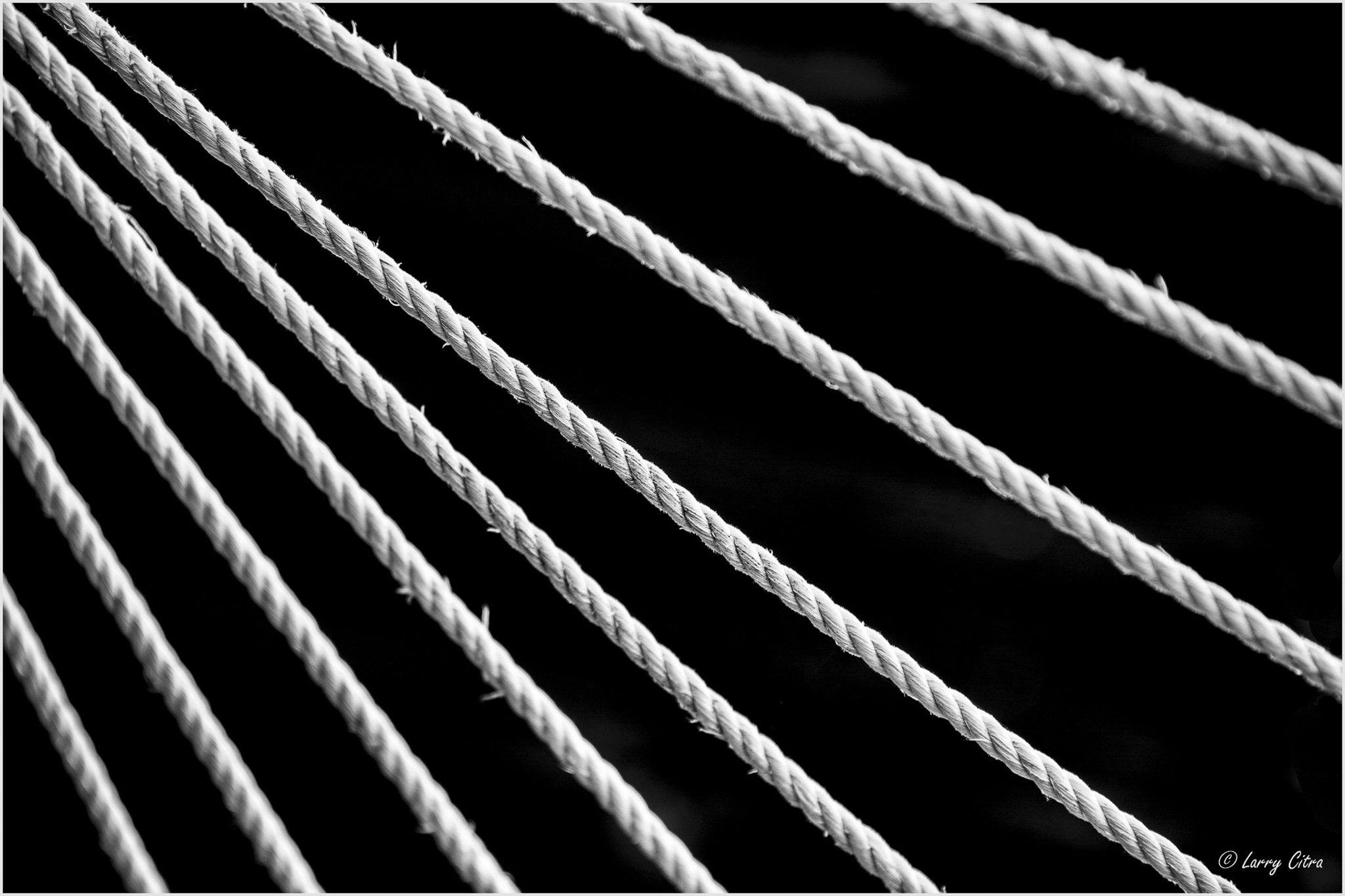 Showing them the Ropes © Larry Citra