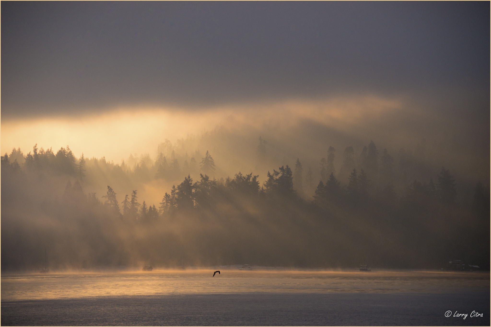 Sunrise, Burgoyne Bay, Salt Spring Island_Stroked © Larry Citra