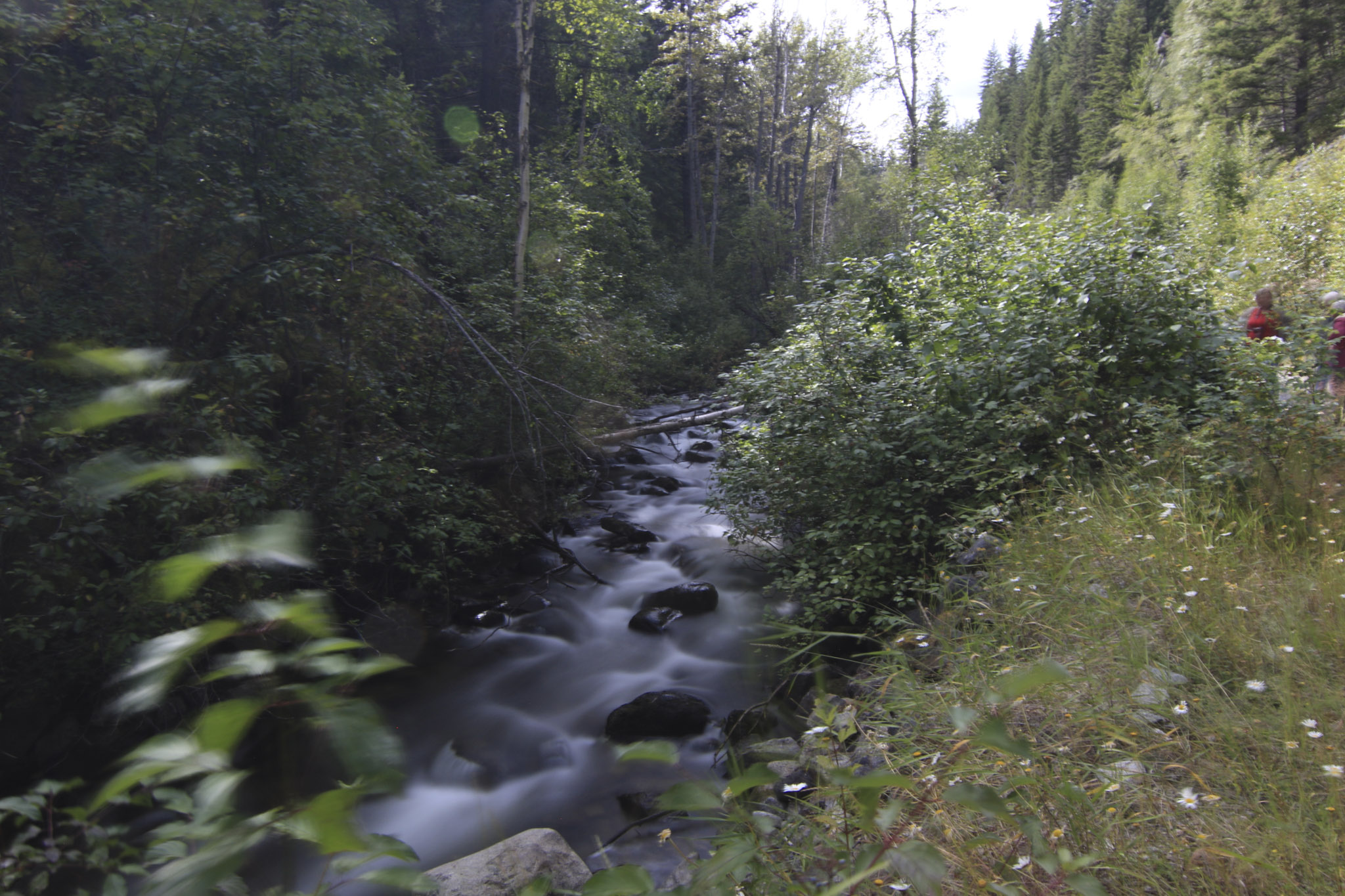 Eakin Creek - 30 seconds worth - Doug Boyce