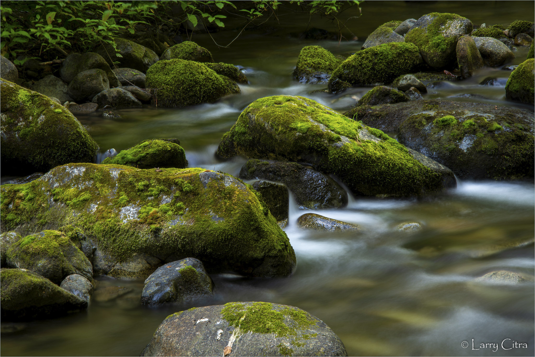 Eakin Creek © Larry Citra