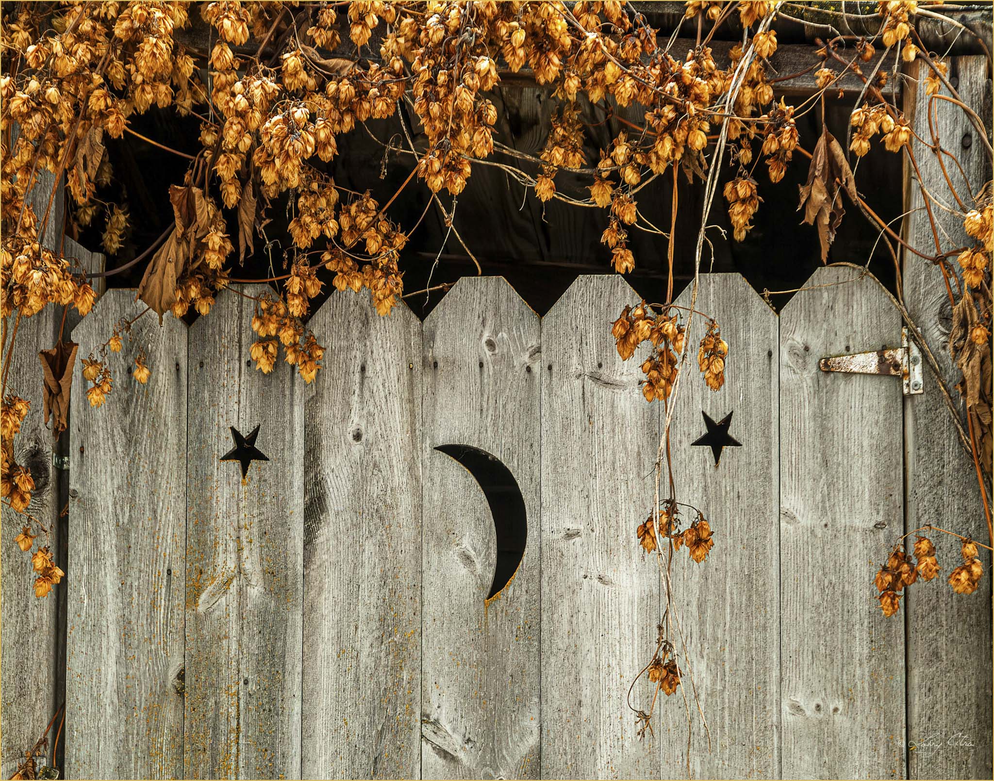 The Outhouse Door © Larry Citra