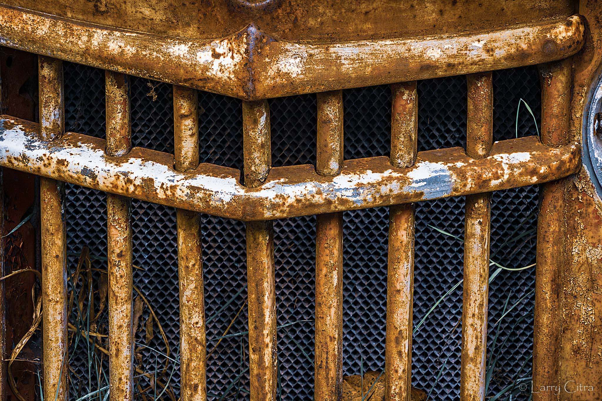 Jeep, Wallace Island © Larry Citra