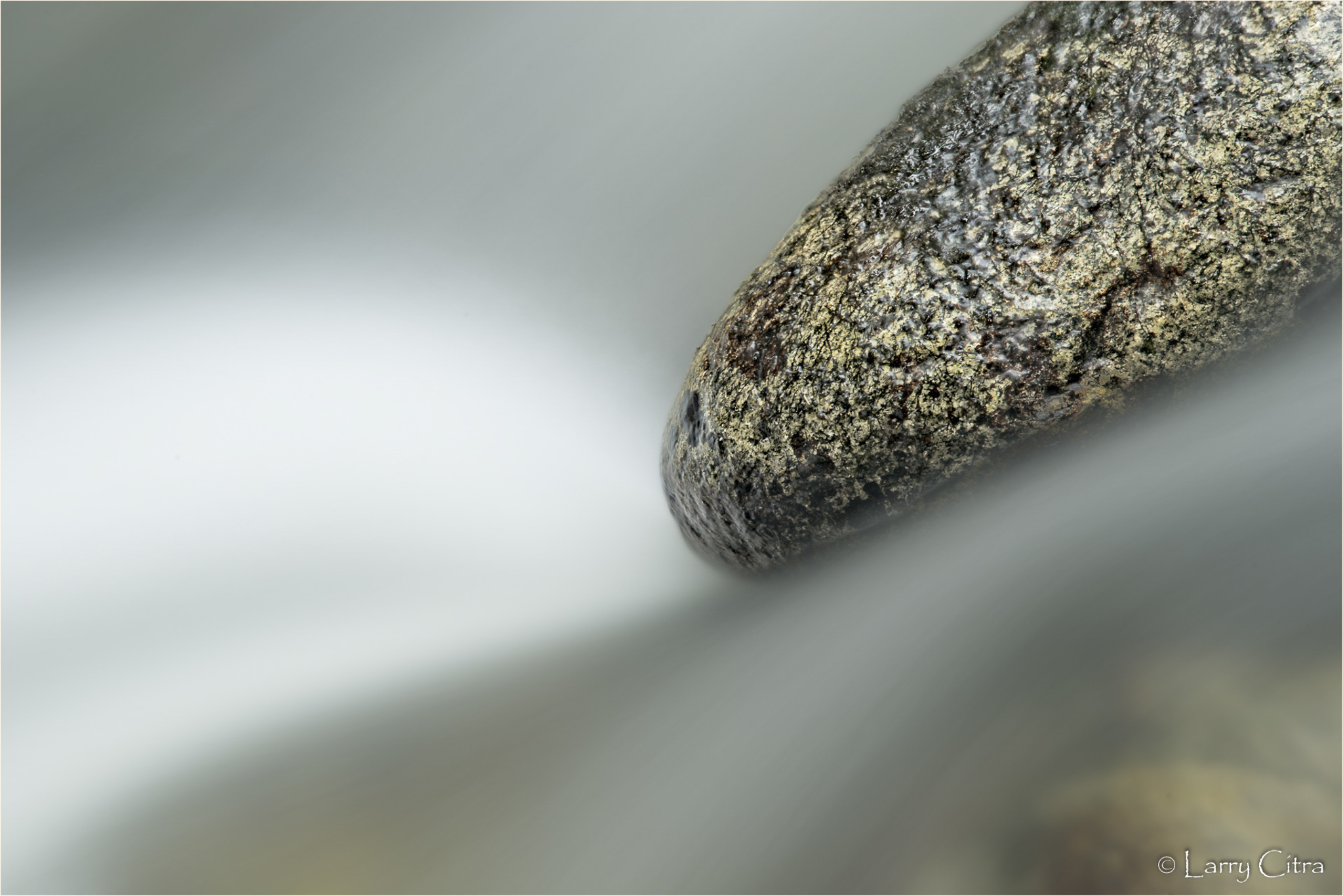 Larry Citra © Rock in Creek