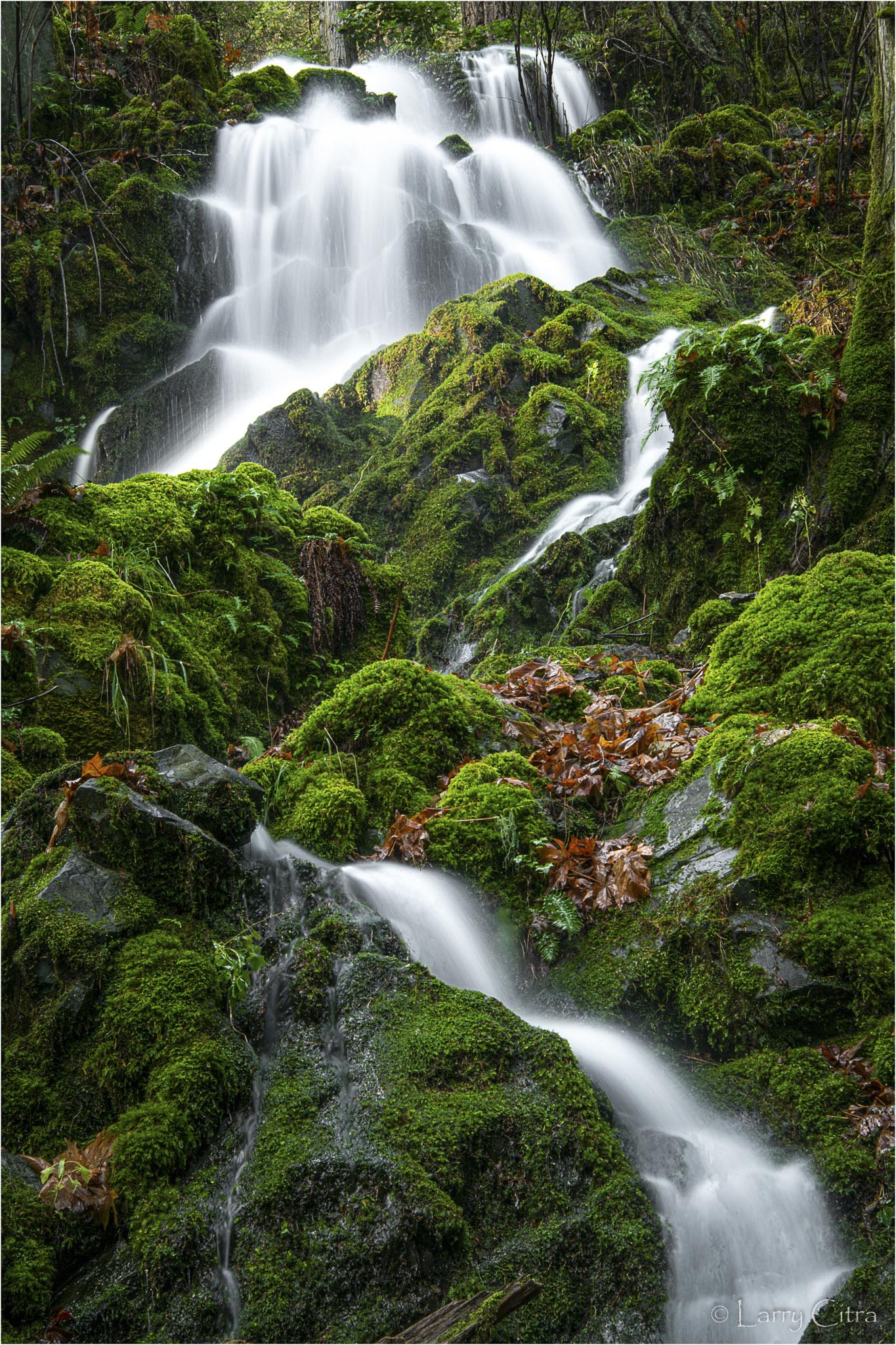 Larry Citra © Mountain Rd Waterfall