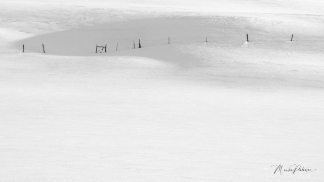 Monika_Paterson_MHP7247