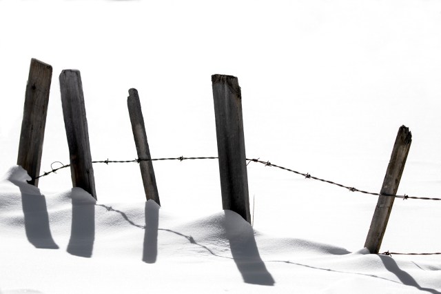 DM Wired_DonnaMarshall_8235