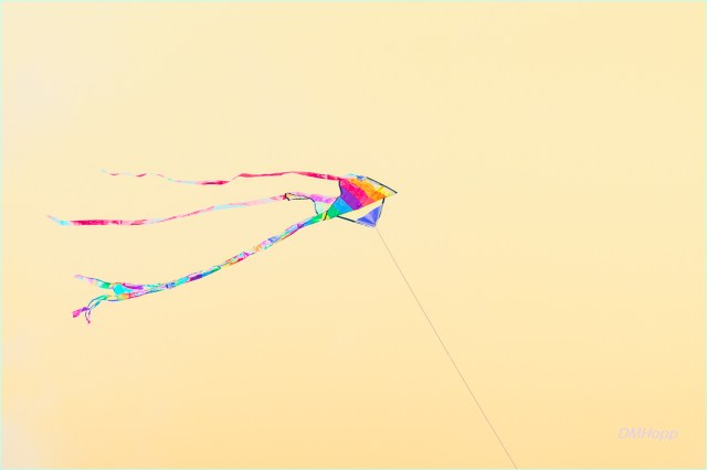 Diane Hopp - Kite Dream