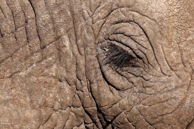 Nancy Cunningham min.  eye can see you